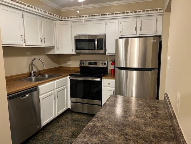 1608 - 18063 Live Oak Ct, Condo with 2 bedrooms, 2 bathrooms and 2 parking in Tinley Park IL | Image 9