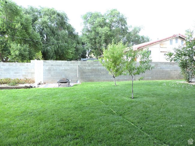 Beautiful Backyard | Image 48