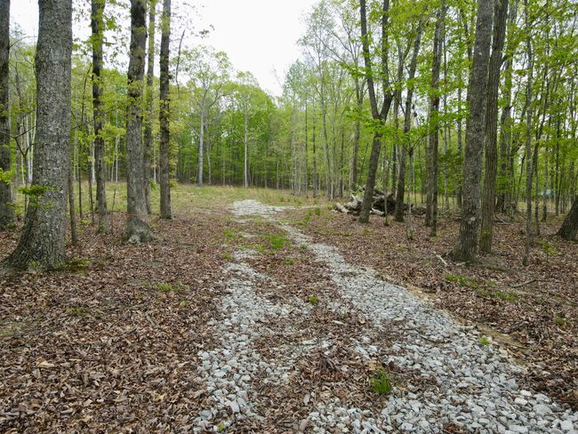 0 Deerwood Dr, Home with 0 bedrooms, 0 bathrooms and null parking in Sewanee TN | Image 29