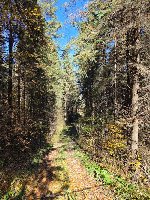 627383 15th Side Rd, Mulmur, ON, L9V0T9 | Card Image