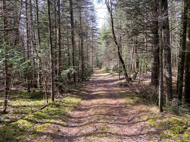 1993 Carter Road, House other with 2 bedrooms, 0 bathrooms and null parking in Burke VT | Image 22