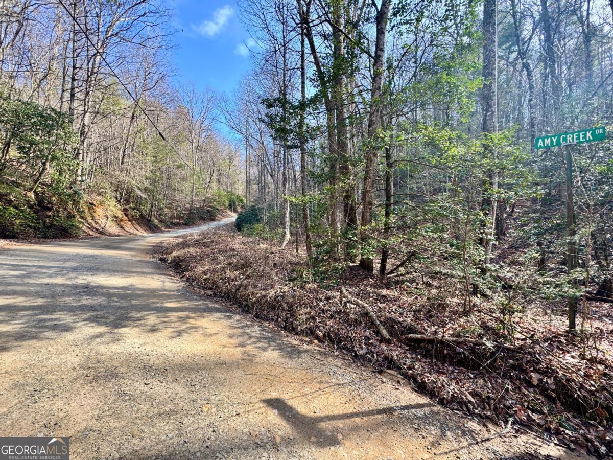 Land in Ellijay