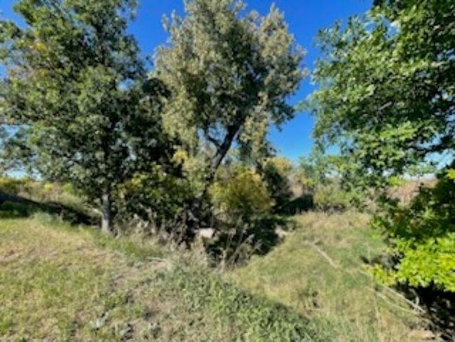 Lot 20 Block 1 Birnam Wood Lane, Home with 0 bedrooms, 0 bathrooms and null parking in Belle Fourche SD | Image 4
