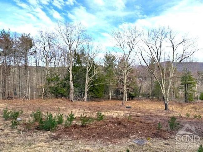 0 Campbell Rd, Home with 0 bedrooms, 0 bathrooms and null parking in Windham NY | Image 8