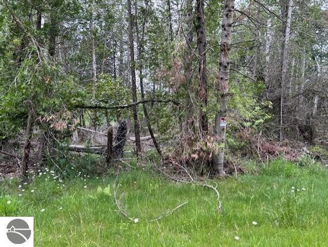 00 Pine Tree Trl, Home with 0 bedrooms, 0 bathrooms and null parking in Oscoda MI | Image 9