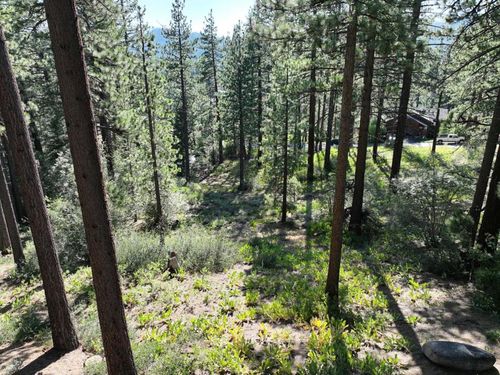 881 Onnontioga St, South Lake Tahoe, CA, 96150-5966 | Card Image