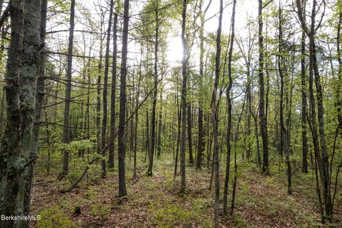 0 Amory Ln, Southfield, MA, 01259 | Card Image