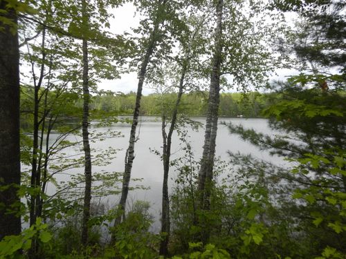 6120 Claire Fire Ln, Land O Lakes, WI, 54540 | Card Image