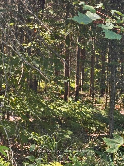 Residential in Parry Sound Remote Area