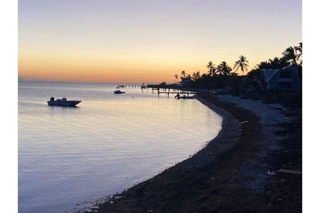 View | Image 6