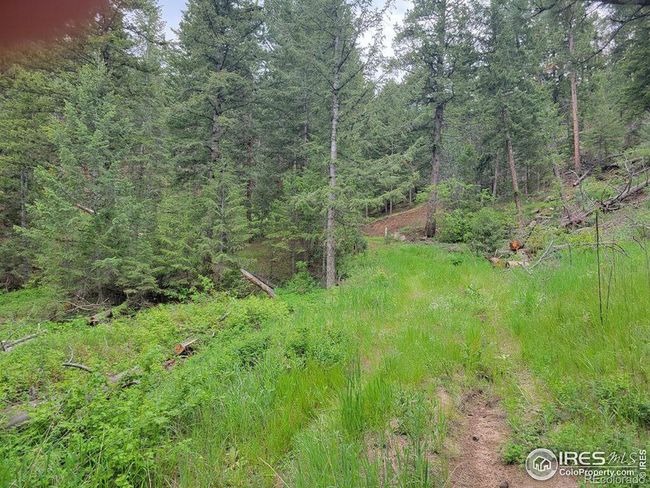 1 Mountain Lion Track Court, Home with 0 bedrooms, 0 bathrooms and null parking in Livermore CO | Image 15