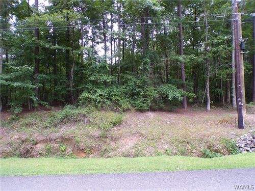 0 Berry Cir Nw, Fayette, AL, 35555 | Card Image