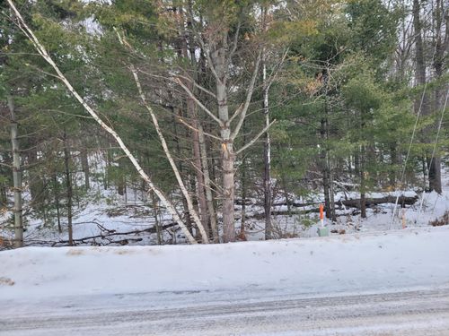 Lot 1 W Bass Lake Rd, Eagle River, WI, 54521 | Card Image