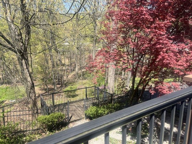 View of park-like backyard from Deck. | Image 36