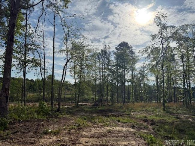 244 Little Rock Rd, Home with 0 bedrooms, 0 bathrooms and 50 parking in Heber Springs AR | Image 10