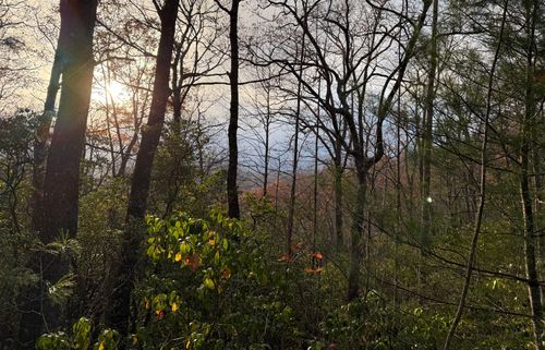 12 Silly Rdg, Scaly Mountain, NC, 28775 | Card Image