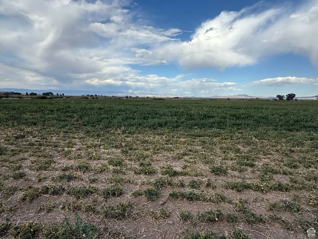 View of undeveloped land with rural landscape | Image 8