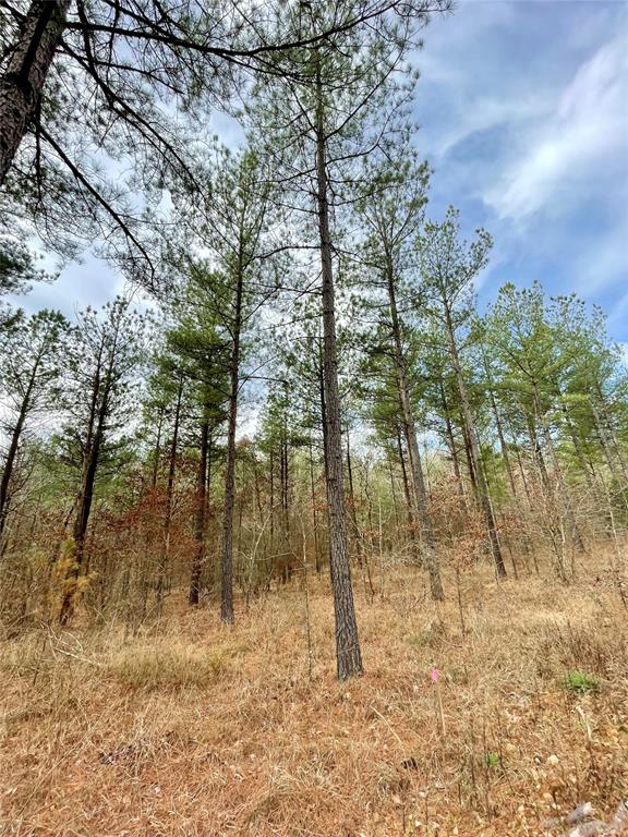 Land in Broken Bow 3
