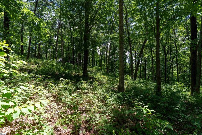 22 Raven Rd, Home with 0 bedrooms, 0 bathrooms and null parking in Landrum SC | Image 11