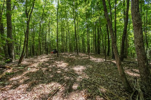 20 Ac Pack Mountain Road, Murphy, NC, 28906 | Card Image