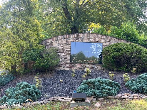 LT 54 Pinehurst Rd, Blairsville, GA, 30512-8740 | Card Image