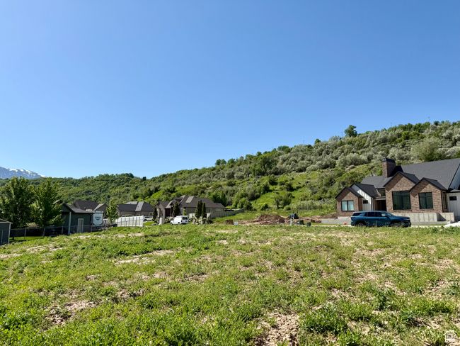 View of yard | Image 19