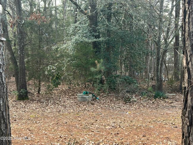 0 Bridgersville Rd, Home with 0 bedrooms, 0 bathrooms and null parking in Macclesfield NC | Image 4
