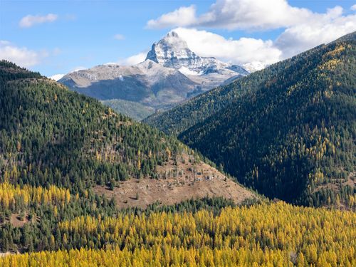 14273 Us Highway 2 E, Essex, MT, 59916-9728 | Card Image