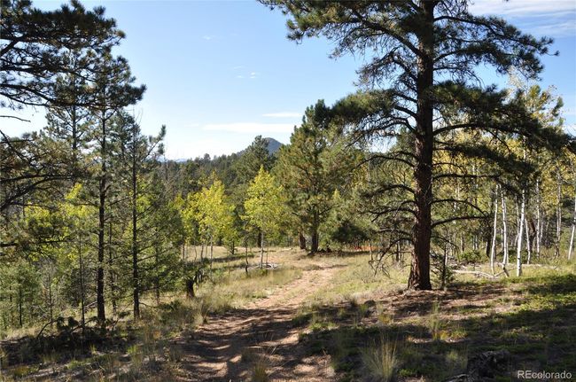 1299 Rangeview Rd, Home with 0 bedrooms, 0 bathrooms and null parking in Divide CO | Image 12
