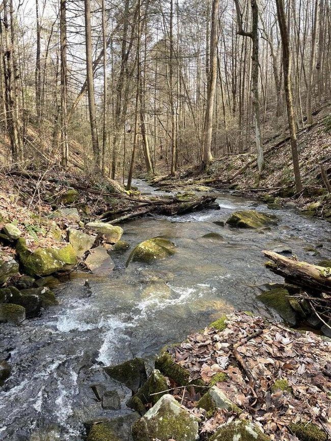 2362 Little Bend Rd, Home with 0 bedrooms, 0 bathrooms and null parking in Signal Mountain TN | Image 10