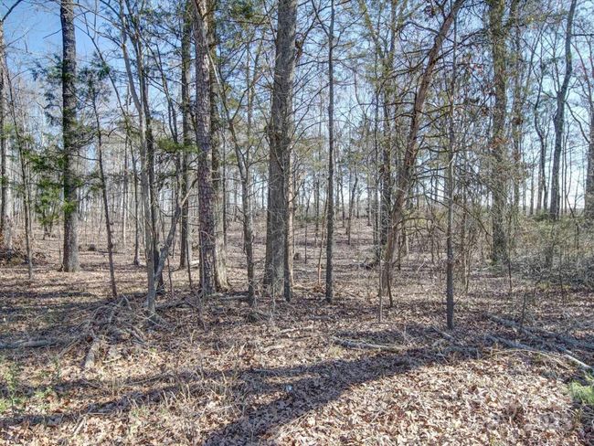 Wooded Area in front of house across street | Image 44