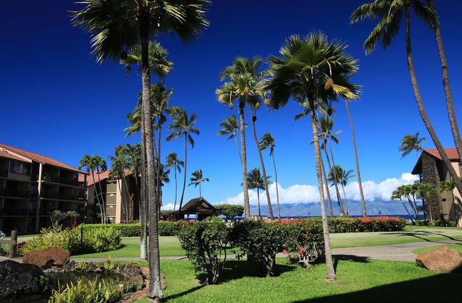 C107 - 3543 Lower Honoapiilani Rd, Condo with 0 bedrooms, 1 bathrooms and null parking in Lahaina HI | Image 25