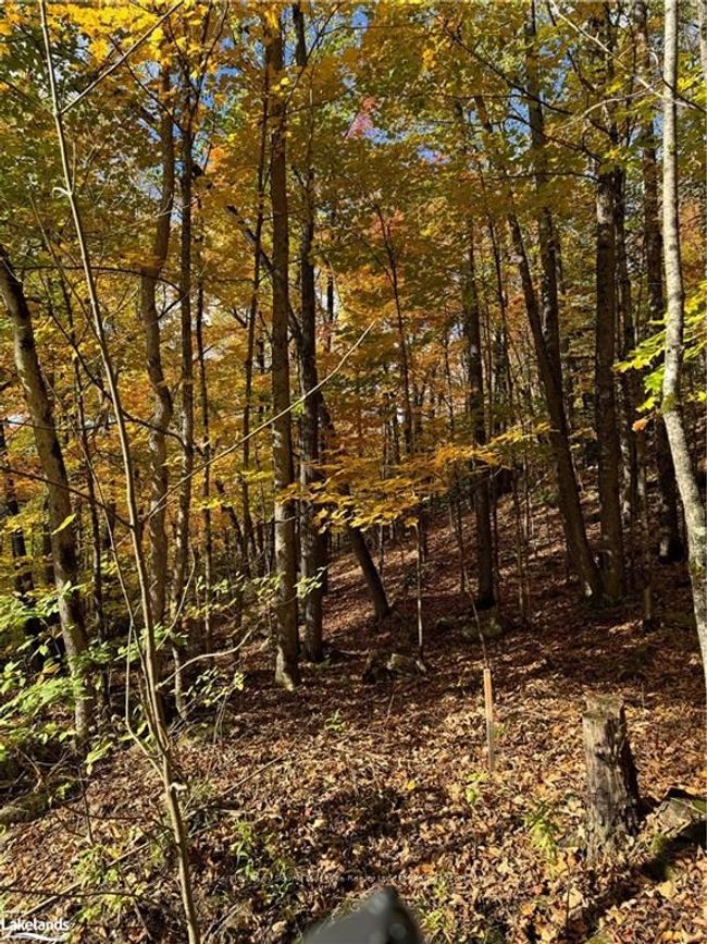 353C Balsam Creek Rd, Home with 0 bedrooms, 0 bathrooms and null parking in Loring ON | Image 5
