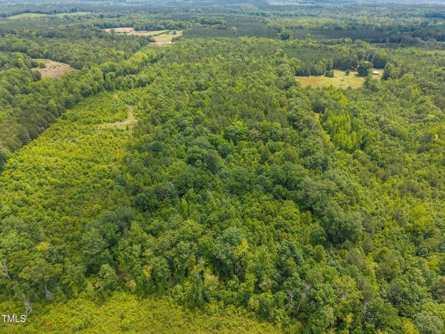 4-web-or-mls-DJI_20250530122107_0149_D | Image 9