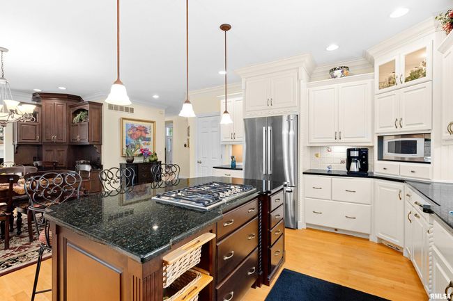 11518 N Nettle Creek Dr, House other with 4 bedrooms, 6 bathrooms and null parking in Dunlap IL | Image 14