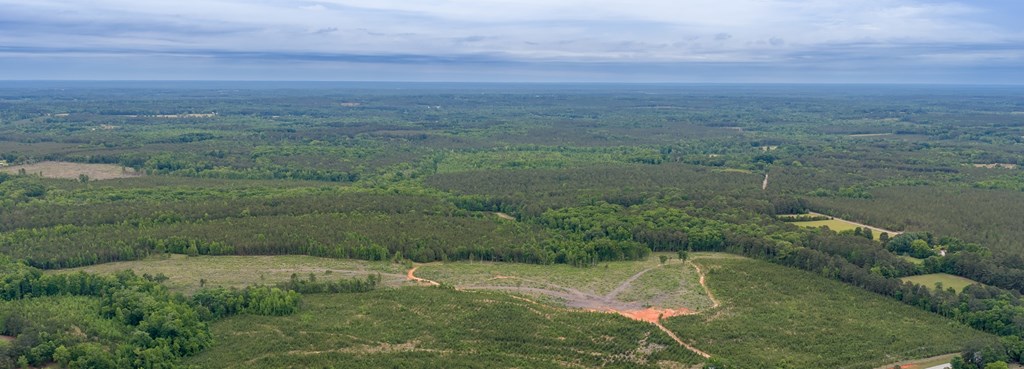 Land in Greenwood 4