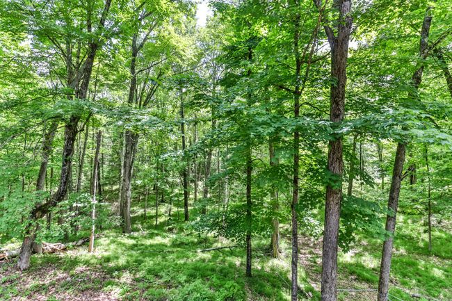 7818 Sutton Rd, House other with 2 bedrooms, 2 bathrooms and null parking in Minocqua WI | Image 37