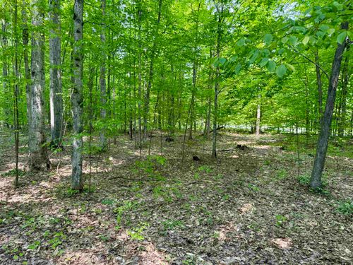 000 S Honeybee Rd, Empire, MI, 49630 | Card Image
