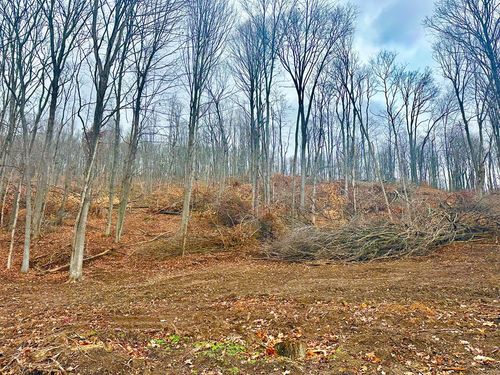 0 Lower Twin Road, Bainbridge, OH, 45612 | Card Image