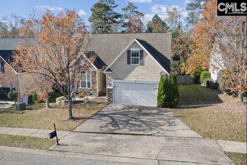 313 Explorer Dr, Chapin, SC, 29036-6107 | Card Image