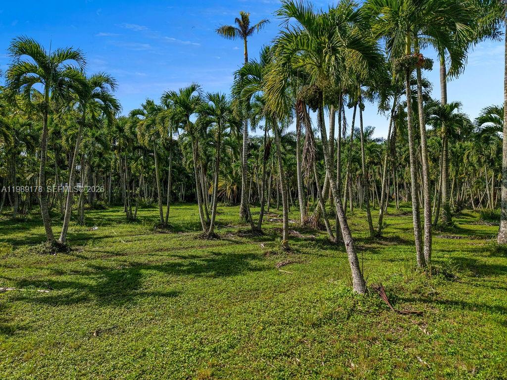 Land in Miami 2
