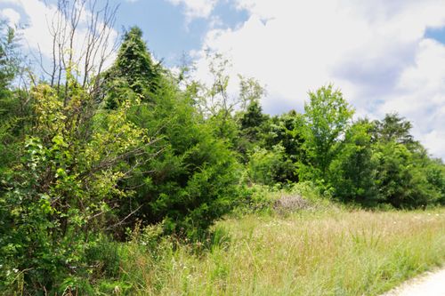 000 Private Road 5346, Willow Springs, MO, 65793 | Card Image