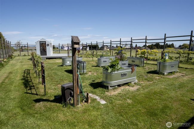 Raised gardens | Image 29
