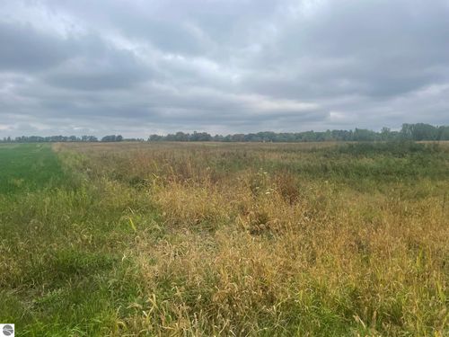 TBD E Denver Rd, Farwell, MI, 48622 | Card Image
