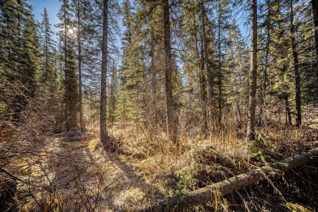 20 Pinewood Crescent, House other with 3 bedrooms, 1 bathrooms and 3 parking in Canmore AB | Image 41