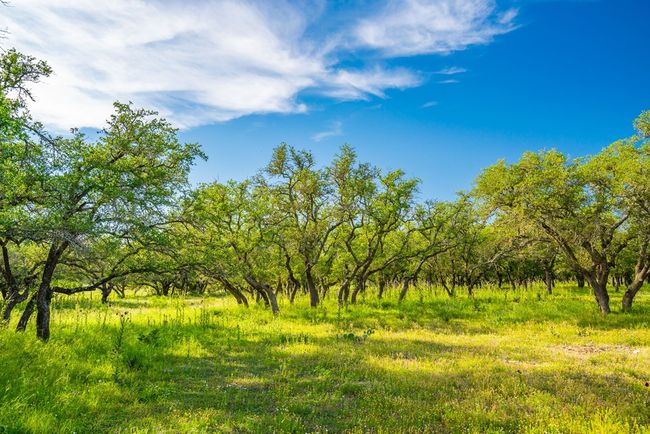 000 S Laird Rd, Home with 0 bedrooms, 0 bathrooms and null parking in Harper TX | Image 11