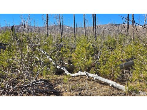 1460 Von Heyl Ln, Fort Garland, CO, 81133-8005 | Card Image