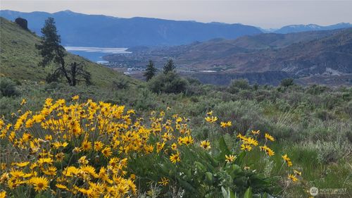 0 Coyotes Curve Rd, Orondo, WA, 98843 | Card Image