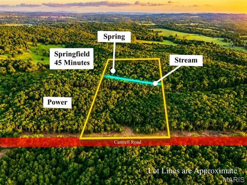 TBD 005 M- Cantrell Road, Mansfield, MO, 65704 | Card Image