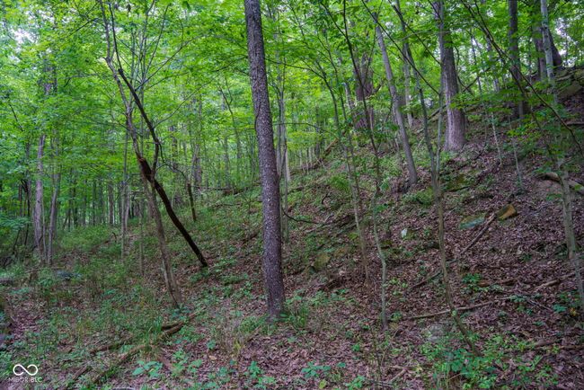 1000 N County Road 825 W, Home with 0 bedrooms, 0 bathrooms and null parking in Medora IN | Image 19